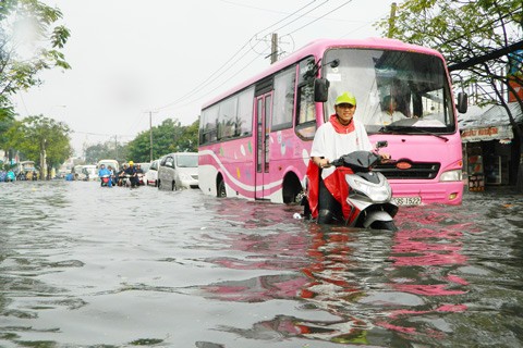 Cơn mưa nặng hạt đã làm nhiều con đường như Hòa Bình, Khuông Việt (quận 11) hay Âu Cơ (Tân Bình) ngập nặng.